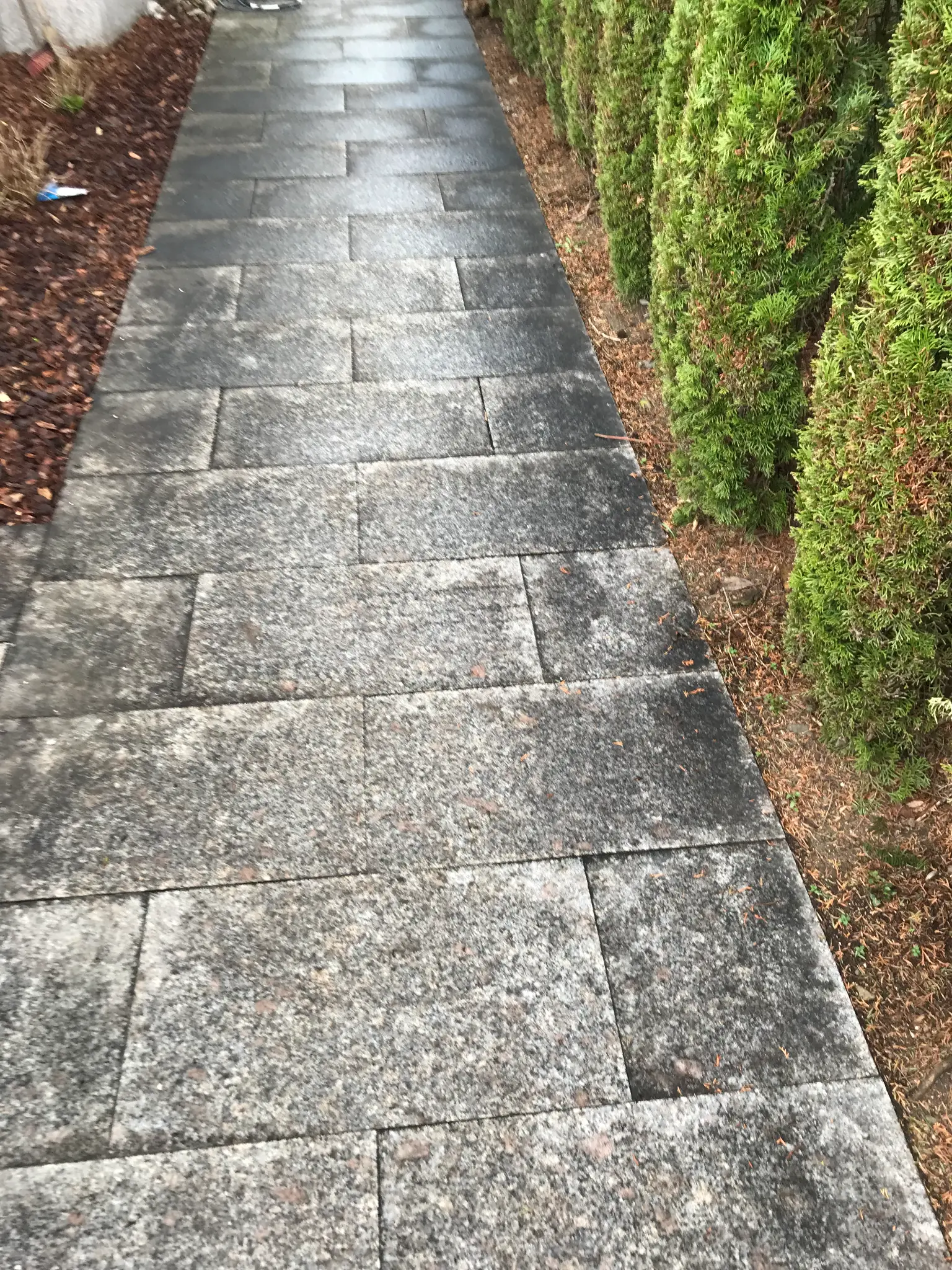 Granit-Gehweg vor der Moosentfernung - mit dunklen Verfärbungen