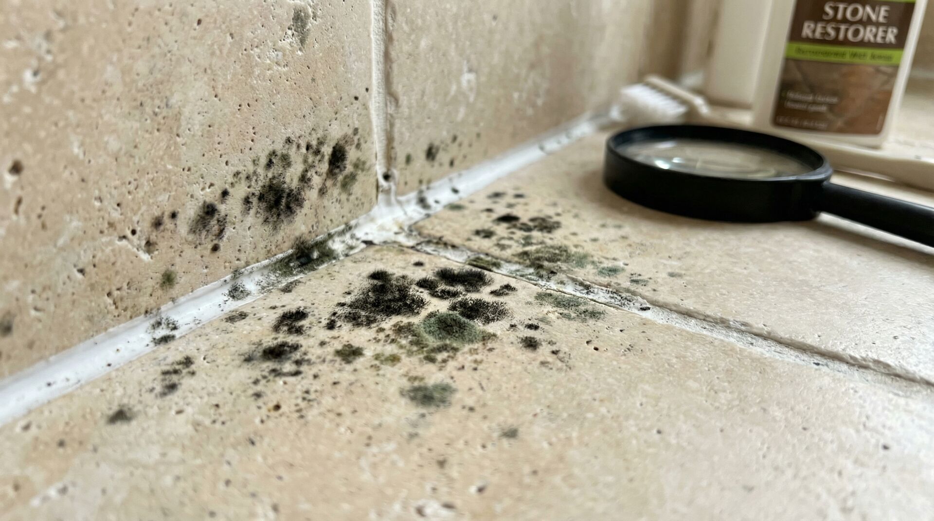 Schimmel auf Naturstein entfernen