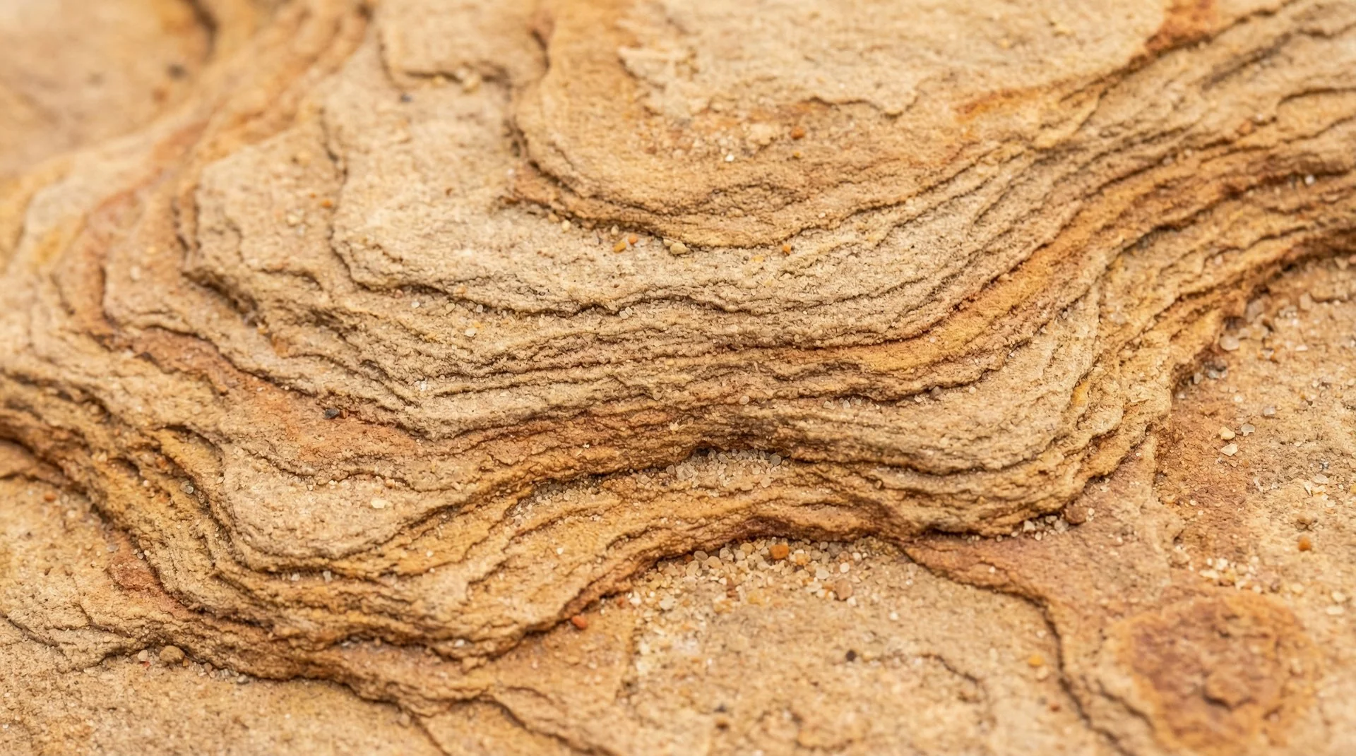 Sandstein Fassade - Reinigung und Versiegelung