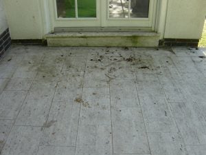 Travertinplatten reinigen Algen und Moos Potsdam