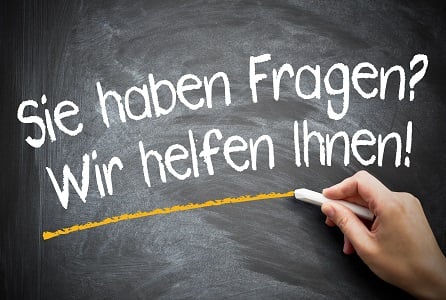 stein fragen 